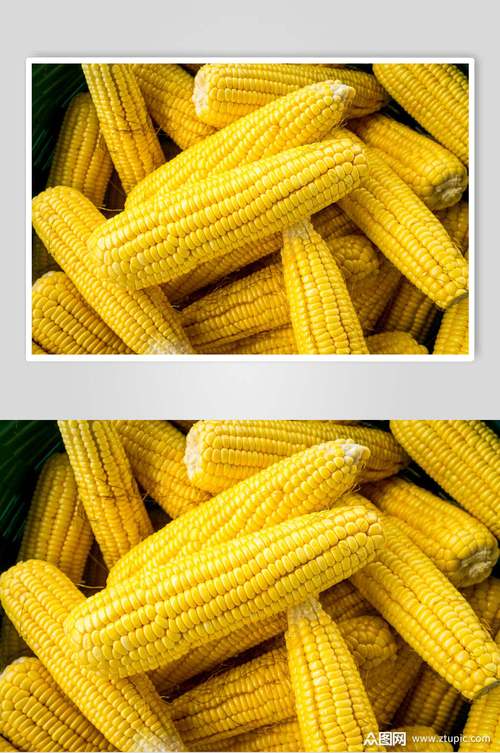 金黄美味玉米棒玉米粒食品图片