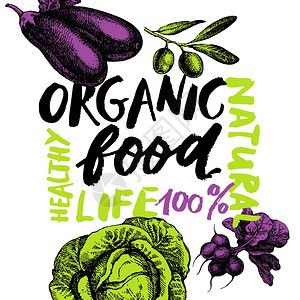 生态食品菜单背景手绘草图蔬菜农贸市场海报刻字矢量插图绘画高清图片
